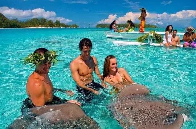 全世界的beach，究竟哪一个美女最多，哪一个又最爱裸游？