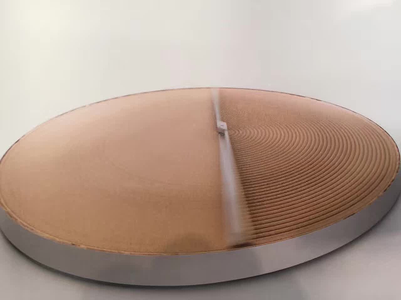 女艺术家先使用内脏视频的性能，探索身体內部的器官与肠道子宮