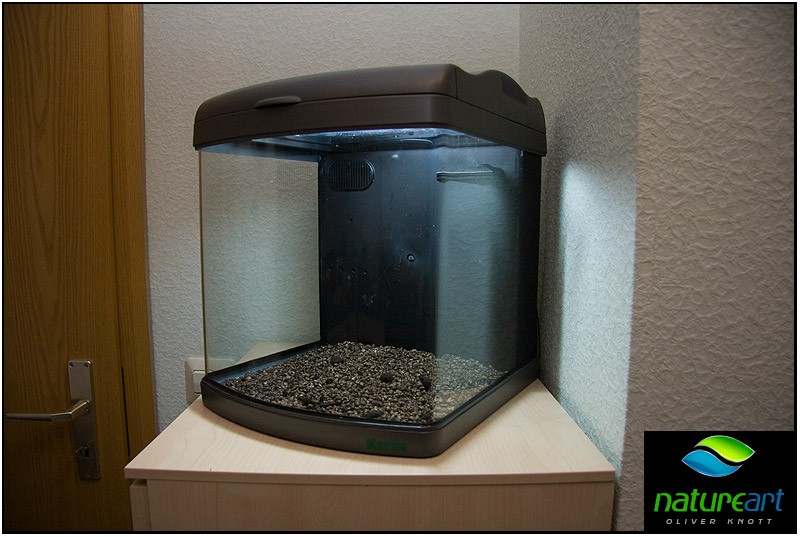 ada水草1.5米缸造景教程,oliverknott是什么