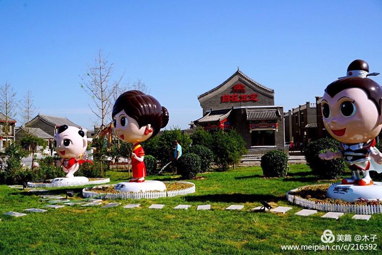 一花一叶总关情，一辆单车游古城，美哉正定！