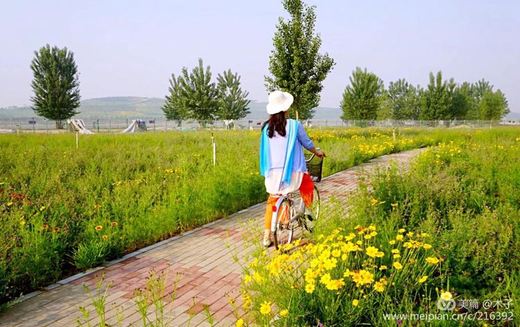 一花一叶总关情，一辆单车游古城，美哉正定！