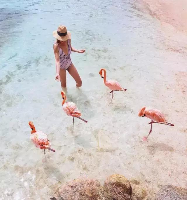 去旅游拍的风景照怎么发朋友圈,怎么给朋友圈的旅游照点评