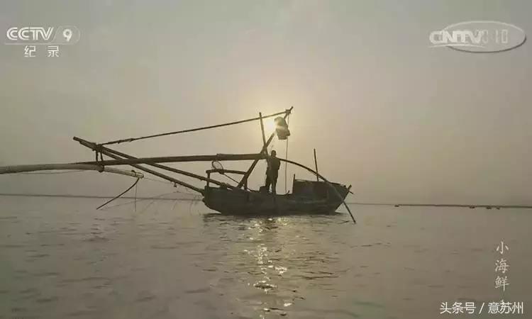 舌尖上的中国之麻辣小海鲜,舌尖上的中国小海鲜
