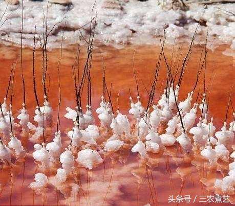 这种白色晶体弄碎了用，称为“百味之祖”,还能当药！