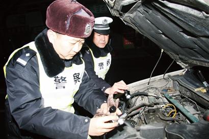 为什么在牛的身上打洞,牛为什么要在身上打洞