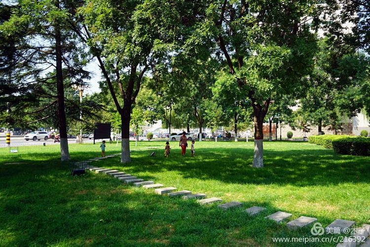 一花一叶总关情，一辆单车游古城，美哉正定！