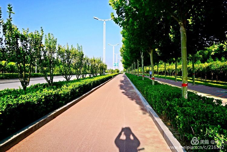 一花一叶总关情，一辆单车游古城，美哉正定！