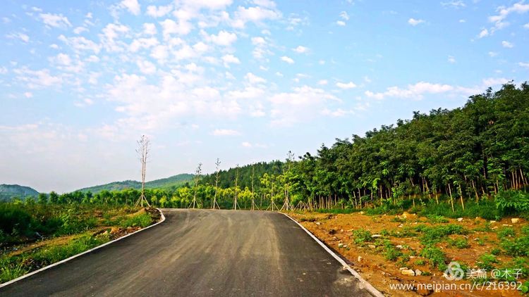 一花一叶总关情，一辆单车游古城，美哉正定！