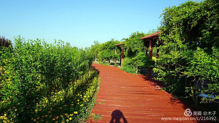 一花一叶总关情，一辆单车游古城，美哉正定！