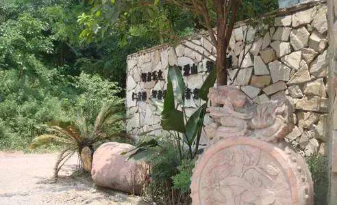 南岸区适合游玩的乡村,南岸乡村旅游