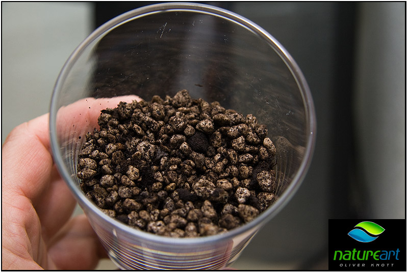 ada水草1.5米缸造景教程,oliverknott是什么