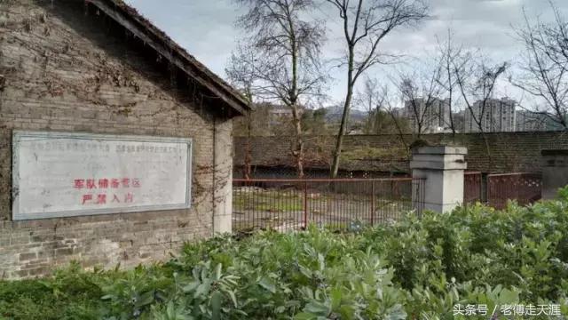 梁中与红中曾合校办学多年~两校原是亲生血缘关系