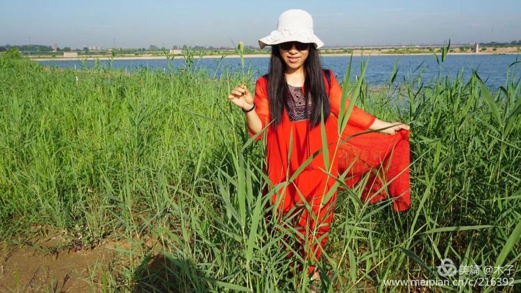 一花一叶总关情，一辆单车游古城，美哉正定！