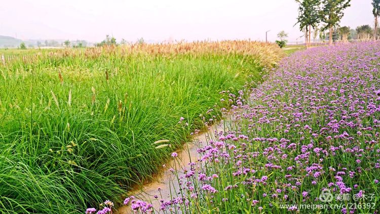 一花一叶总关情，一辆单车游古城，美哉正定！