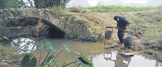 二十二纪录片免费看,二十二电影免费看