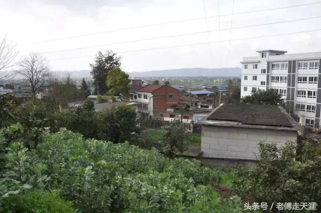 梁中与红中曾合校办学多年~两校原是亲生血缘关系