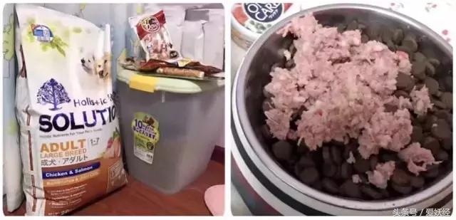 Todayis七夕，这盆狗粮爱妖经替你验过，放心吃吧