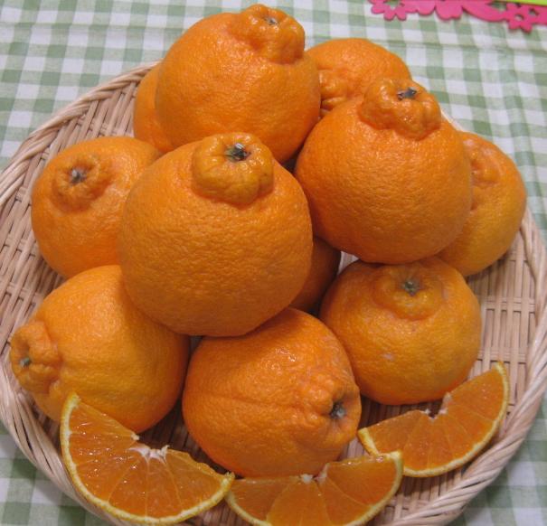 百分之99的人都分不清,百分之99的人都分不清东南西北