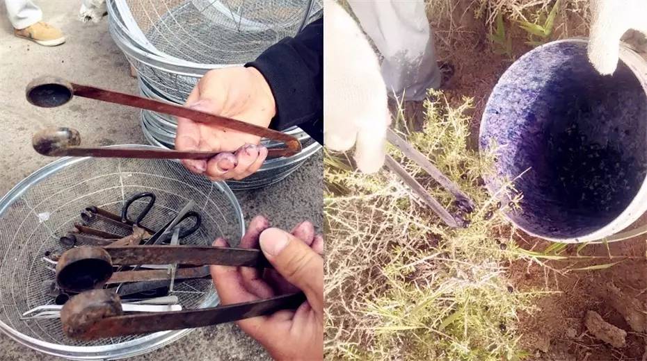 针对黑枸杞你真的了解吗,关于黑枸杞的8大误区