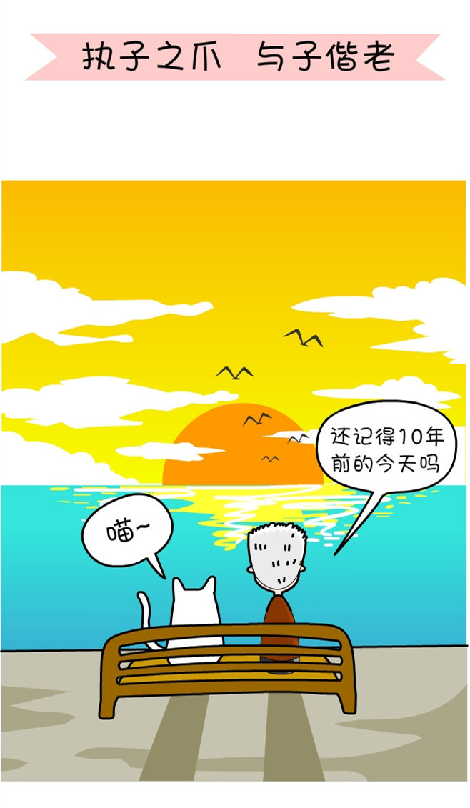 关于一个铲屎官和四只猫的漫画,铲屎官照顾猫的漫画