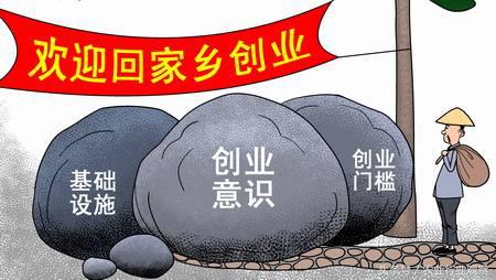 大学生返乡创业案例,带你走进100个真实的返乡创业故事