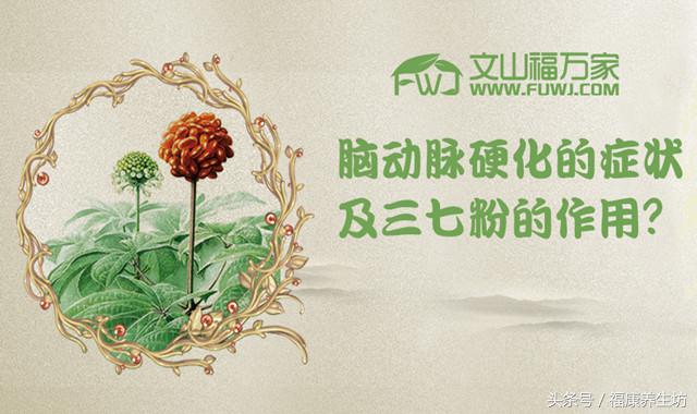 脑动脉硬化吃三七粉有效果吗,三七粉治脑动脉硬化有效吗