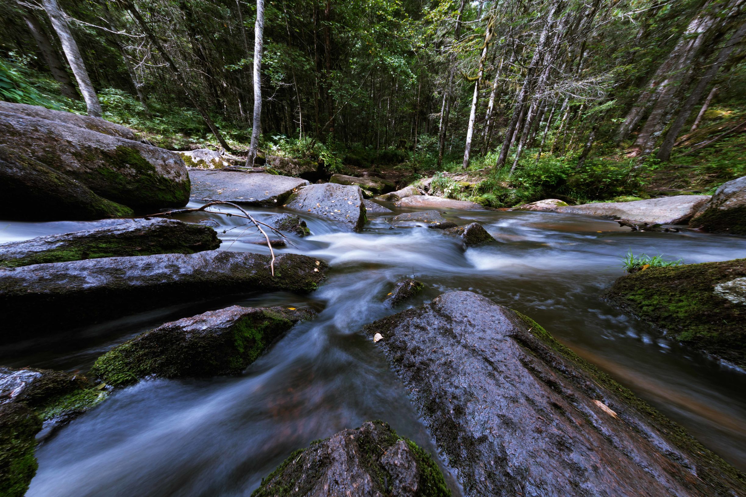 黑龙江自驾游美食攻略,黑龙江环线自驾游攻略