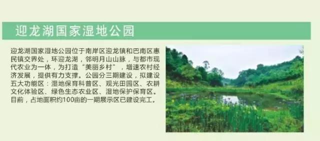 南岸区适合游玩的乡村,南岸乡村旅游