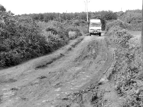 车烂先烂底，细数常见的托底陷阱