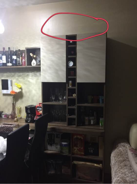 泰迪从高处摔下腿拐了,小泰迪从高处摔下来