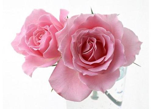 对单身朋友的七夕祝福语,七夕节日的祝福语