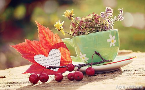 说说上一年情人节陪你身边的那个人现在还在吗？