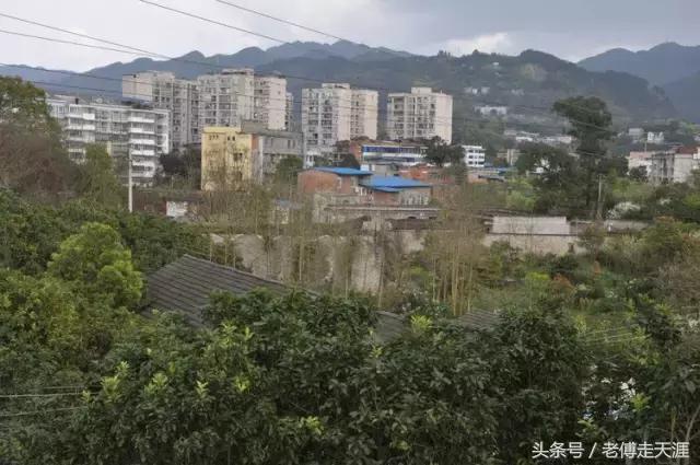 梁中与红中曾合校办学多年~两校原是亲生血缘关系