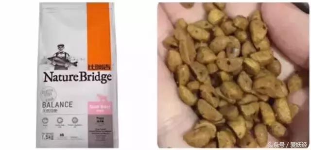 Todayis七夕，这盆狗粮爱妖经替你验过，放心吃吧