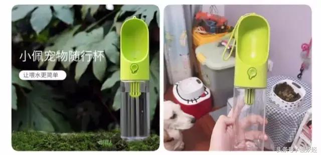 Todayis七夕，这盆狗粮爱妖经替你验过，放心吃吧