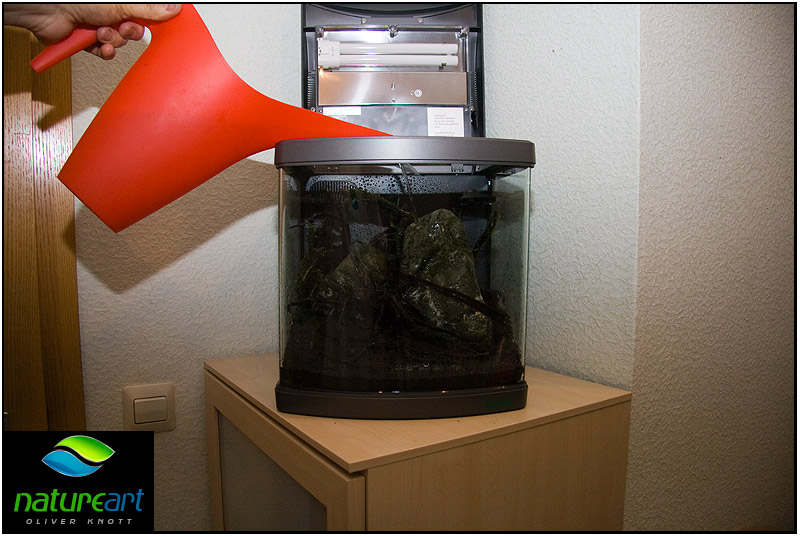 ada水草1.5米缸造景教程,oliverknott是什么