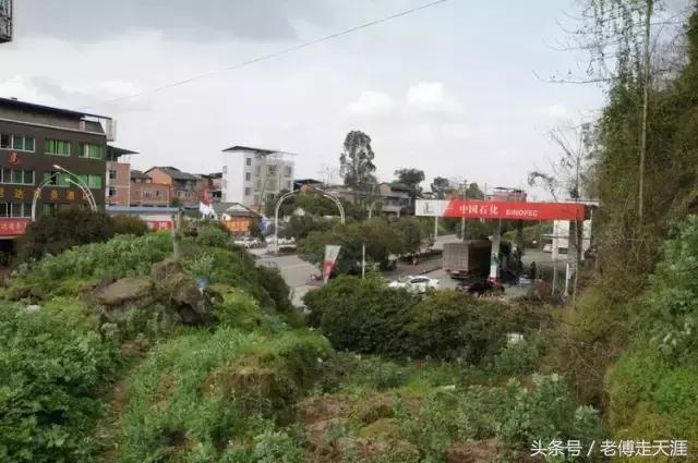 梁中与红中曾合校办学多年~两校原是亲生血缘关系