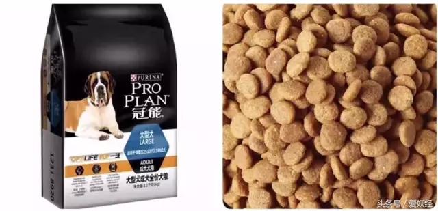 Todayis七夕，这盆狗粮爱妖经替你验过，放心吃吧