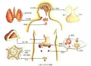 从日常生活如何改善脱发,脱发稀疏中医调理成功案例