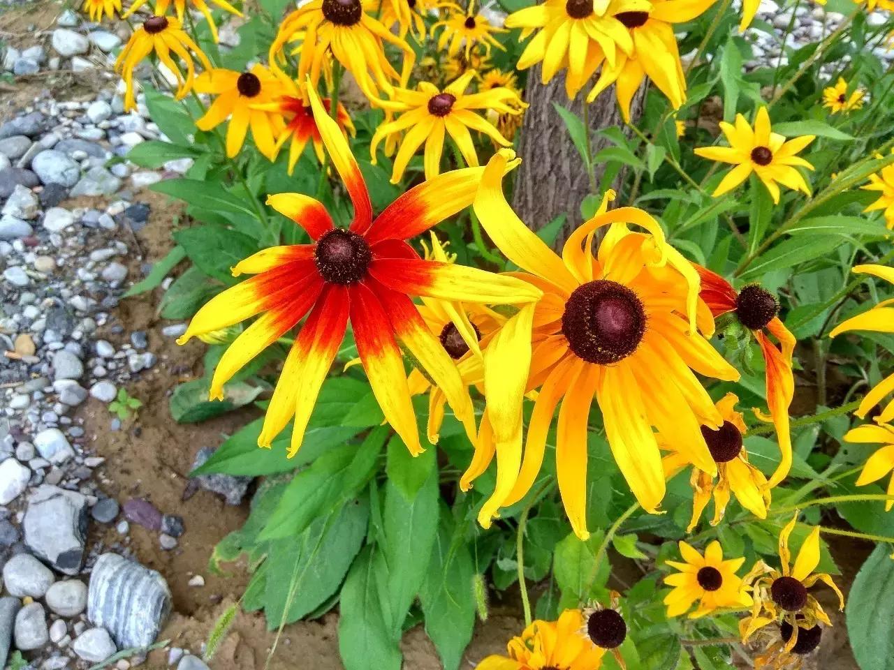 门头沟最适合的自驾游,门头沟一日游自驾游最佳景点