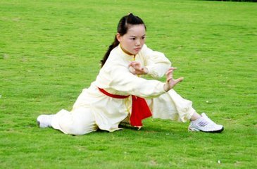 中国武术风采视频,中国武术展现的淋漓尽致