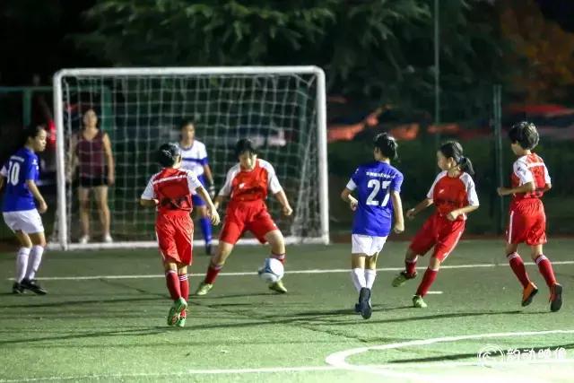 株洲足球赛开赛,2024年株洲市足球比赛