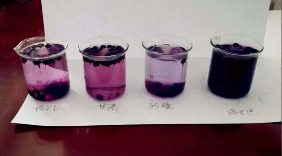 针对黑枸杞你真的了解吗,关于黑枸杞的8大误区