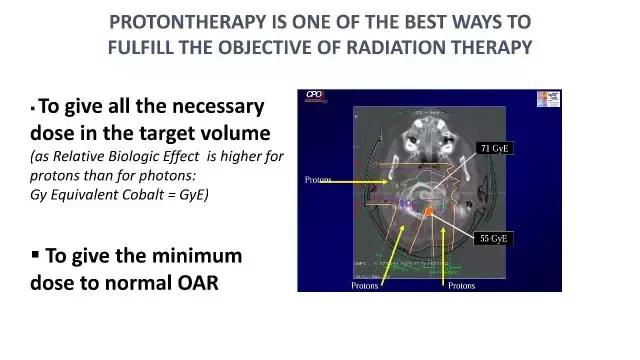 演讲PPT/法国居里研究所皮埃尔贝：儿童神经肿瘤的质子放疗