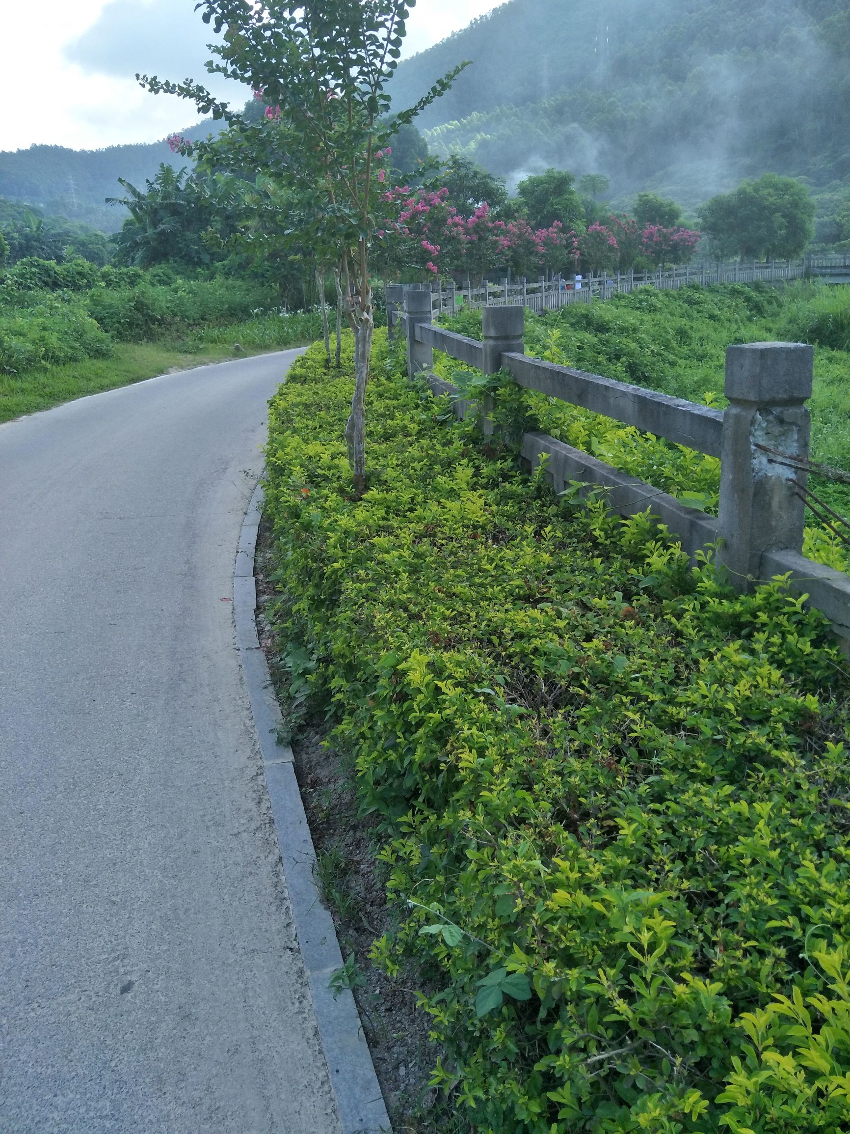 晚上犯困什么办法最可以解决,怎么克服白天上课犯困