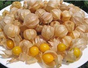 0831今天吃什么-含羞果