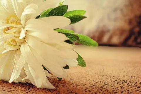 肠道有屎却没有排出的动力,肠道有大量气体不吐排不出去