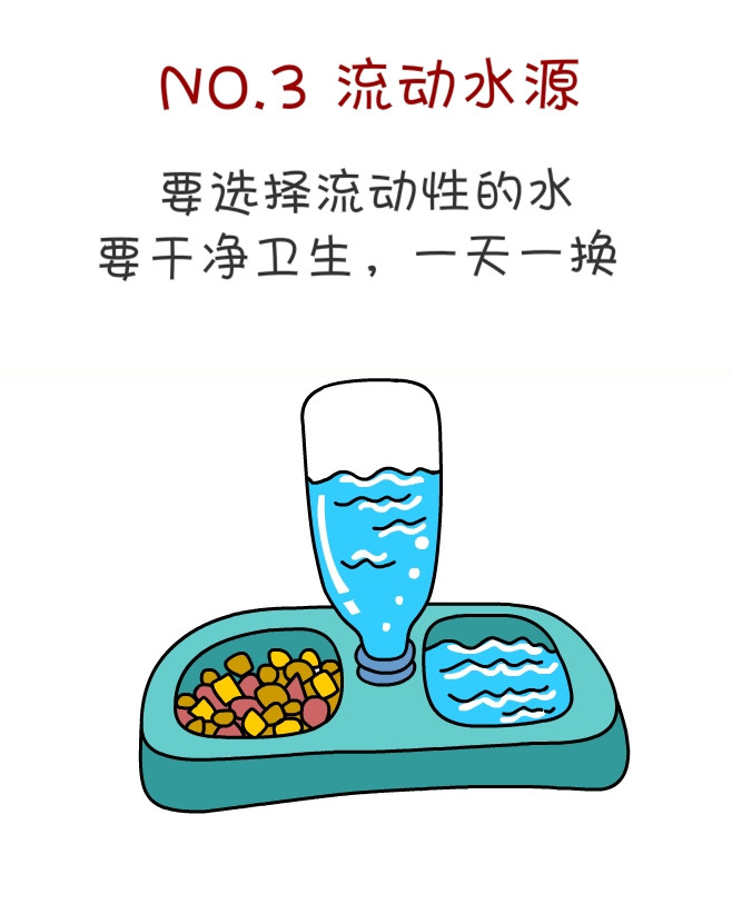 关于一个铲屎官和四只猫的漫画,铲屎官照顾猫的漫画