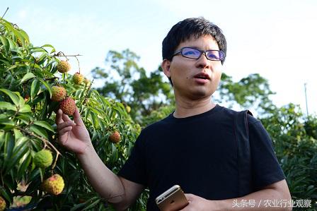 大学生返乡创业案例,带你走进100个真实的返乡创业故事