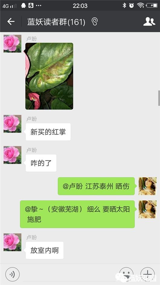 花给太阳晒伤了怎么办,被太阳晒时的花该怎么拯救回来